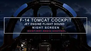 F 14 Tomcat Cockpit Ambience | Fighter Jet | Jet Noise & Radio Chatter | White Noise | Sleep Sounds