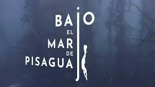 Oceana en NTV: Bosque de Algas