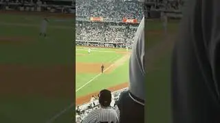 Strike out #yankeesbaseball #baseball #rodon #viral #shorts