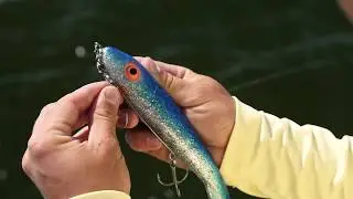 How to rig the McRubber PaddleTail