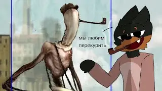 Кто такой 