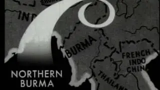 COMBAT BULLETIN NO. 28
