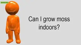 Can I Grow Moss Indoors?