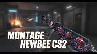 CS2/ WITH 240HZ NEWBIE MONTAGE🔥