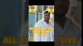 All Types of Live Fish Feeds in One Place 🪱 | Kolathur School Road | Kamalesh Shop