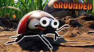 I'M NOT DEAD | Grounded