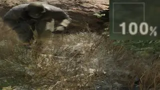 Thoughts on Fox Hunt after 20 hours