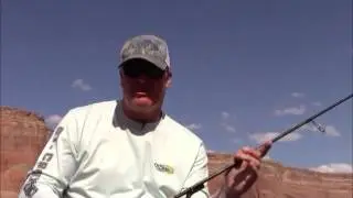 Dave Schluter: What Modulus Means to the Graphite Rod Buyer
