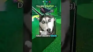 Fish It Game Lucu #roblox #fishit