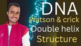 DNA watson and crick model । Double helix structure of DNA। DNA complete explanation one shot