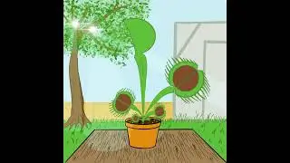 Animaci&oacute;n de una planta carn&iacute;vora comiendo una mosca