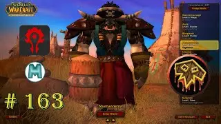 Turtle WoW Vanilla+ Horde # 163-  
