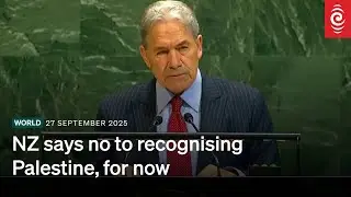 NZ not yet recognising Palestinian state, Foreign Minister Winston Peters announces | RNZ