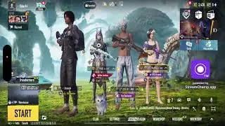 TEAM HL INSANE  Live Stream