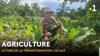Du champ &agrave; l&rsquo;assiette : l&rsquo;agro-transformation en marche
