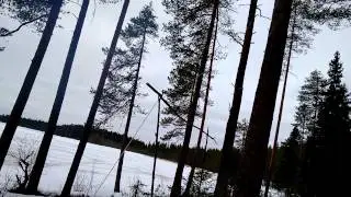 Kalimeenlampi, iltap&auml;iv&auml;n peditio