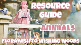 ⭐ Infinity Nikki ⭐ Resource Guide || Animal Locations from Florawish to Wishing Woods
