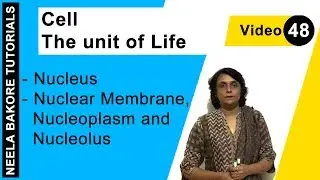 Cell - The unit of Life | NEET | Nucleus - Nuclear Membrane, Nucleoplasm and Nucleolus | Dr. Bakore