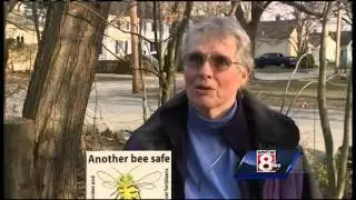 South Portland considers pesticide ban