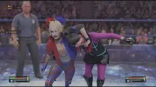 Harley Quinn VS Punchline - Fan Request - Super Powered Wrestling
