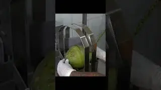 Ice Cream Lovers! Amazing Coconut Ice Cream Making Master - Thailand Street Food #shorts