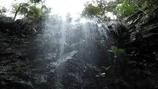 Springbrook Waterfall | White Noise | 4K | Sounds for Sleeping...