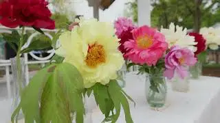 2021 Indiana Peony Festival Highlights