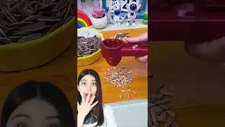 sunflower seed splitter