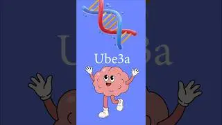 Unlocking Autism's Gender Gap: The Ube3a Gene Mystery #AutismGenes #BrainScience #SexDifferences