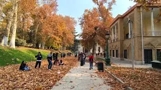 Autumn Evening Walk in Niavaran Palace (Part1) | Tehran&rsquo;s Peaceful Fall Atmosphere