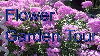 Backyard Flower Garden Tour at Picket Fence Greenhouse Aug 2010 Part 2