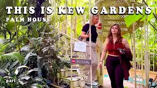 Relaxing Walk Through Kew Gardens, Palm House : London's Rainforest in Palm House of Kew gardens