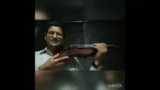 Que violin comprar ? Principiantes