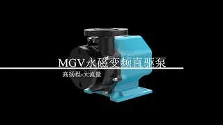 Permanent magnet variable frequency direct drive pump