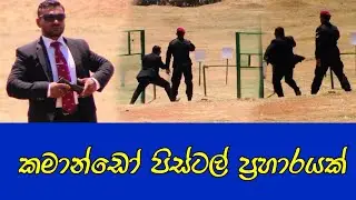 ප්‍රභූ ආරක්ෂාක කමාන්ඩෝ නිලධාරීයෙක්ගේ ක්ෂණික ප්‍රහාරයක්
