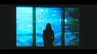 Reynz - Rien d'important (Clip officiel)