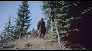 This New Crystal Clear BIGFOOT Footage is SHOCKING The World!!