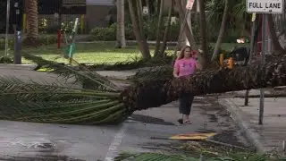 Miami residents wake up to storm damage