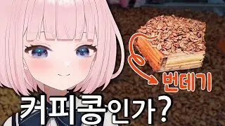 한국의 전통시장을 보고 깜짝 놀란 일본인 버튜버