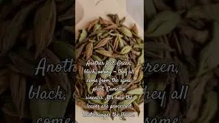Facts & Quotes on Tea