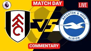 Brighton vs Fulham Highlights English Premier