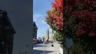 Ottawa 🇨🇦 Canada&rsquo;s Capital of Culture and Charm&hellip; (Guide in Description) #shorts #ottawa #canada
