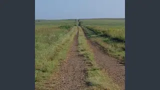 Broken Lines and Brewskies