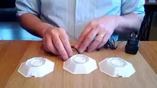 Bug Dome Demo