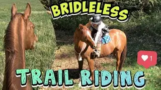 Trail Riding A Horse with NO BRIDLE, NO REINS | Go Pro