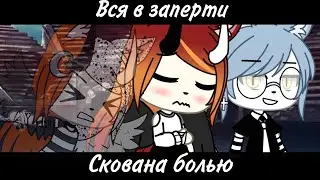 Meme: 