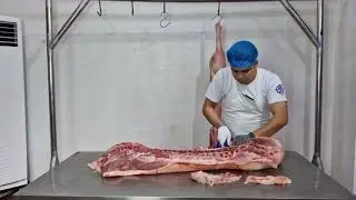 Half Pork Carcass Primal Cut