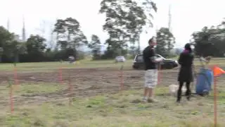 Forester GT Ansell park