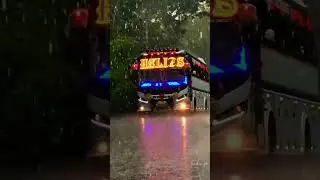 rain feel + hellios