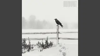 Bird On A Post